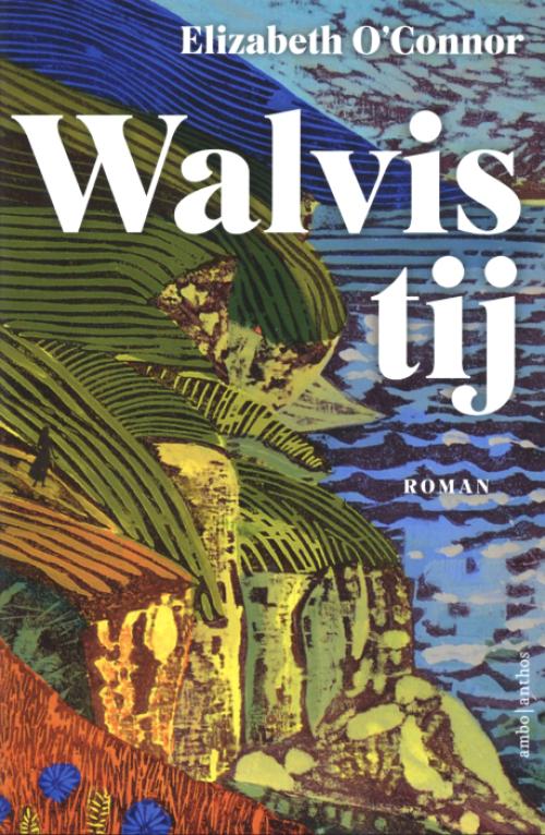 Dit is de afbeelding van het boek Walvistij