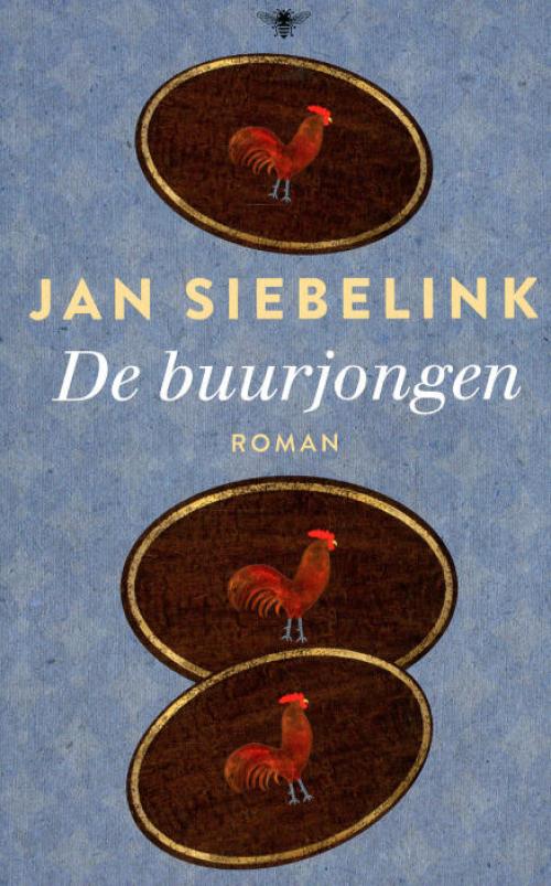 Dit is de afbeelding van het boek De buurjongen