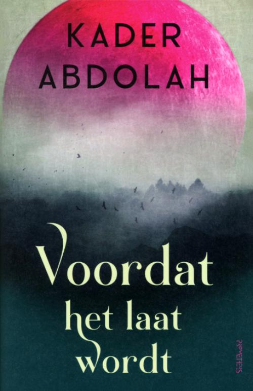 Dit is de afbeelding van het boek Voordat het laat wordt