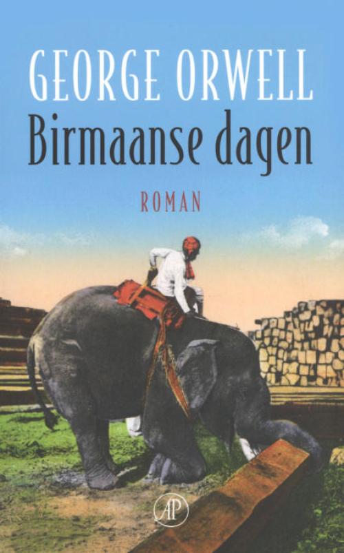 Dit is de afbeelding van het boek Birmaanse dagen