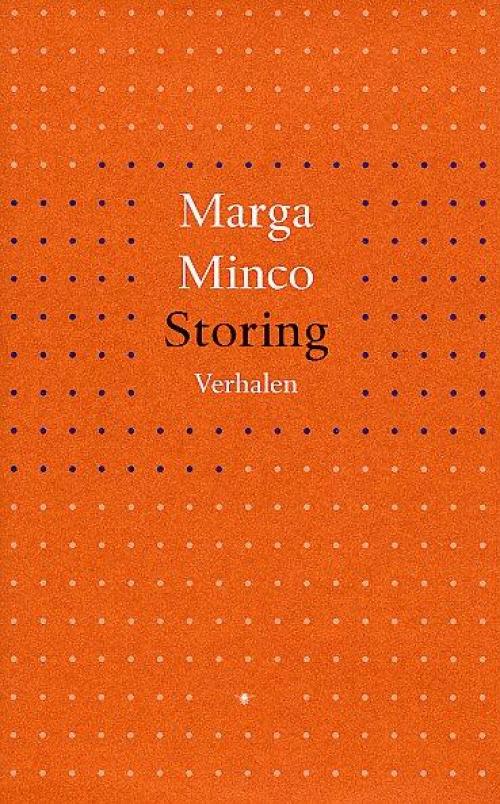 Dit is de afbeelding van het boek Storing
