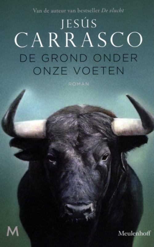 Dit is de afbeelding van het boek De grond onder onze voeten