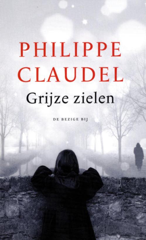 Dit is de afbeelding van het boek Grijze zielen