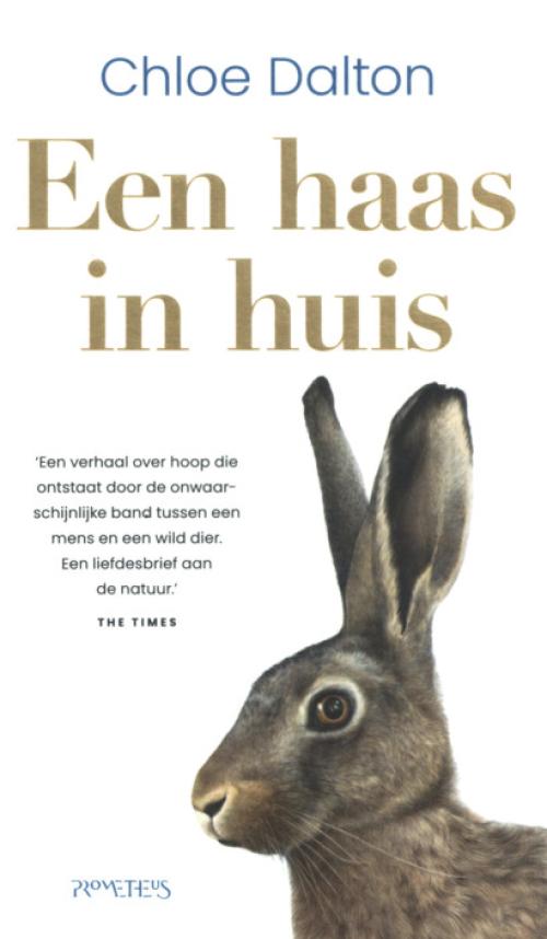 Dit is de afbeelding van het boek Een haas in huis