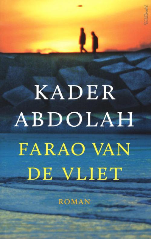 Dit is de afbeelding van het boek Farao van de Vliet