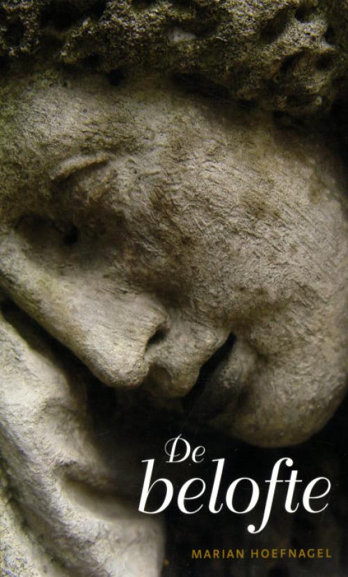 Dit is de afbeelding van het boek De belofte (Eenvoudig Lezen)