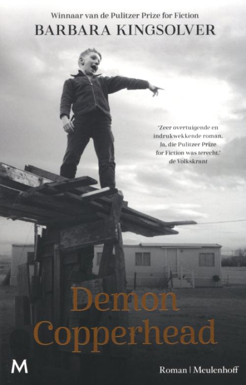 Dit is de afbeelding van het boek Demon Copperhead