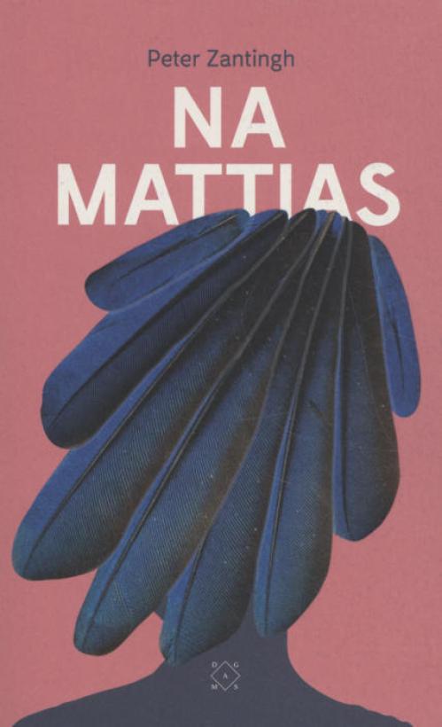 Dit is de afbeelding van het boek Na Mattias