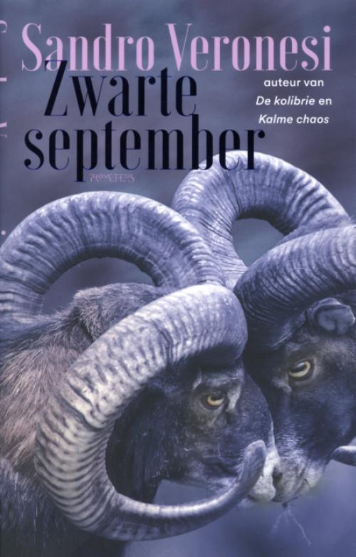 Dit is de afbeelding van het boek Zwarte september
