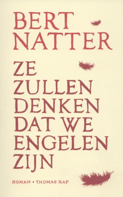 Dit is de afbeelding van het boek Ze zullen denken dat we engelen zijn