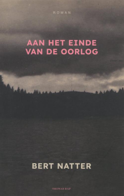 Dit is de afbeelding van het boek Aan het einde van de oorlog