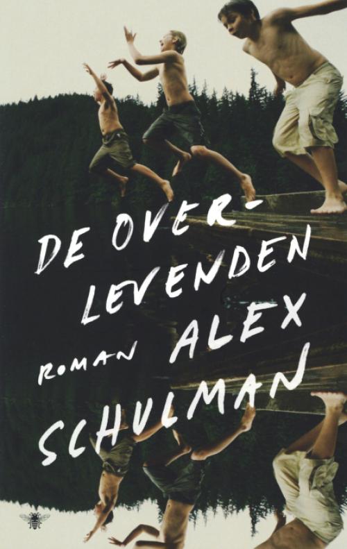 Dit is de afbeelding van het boek De overlevenden