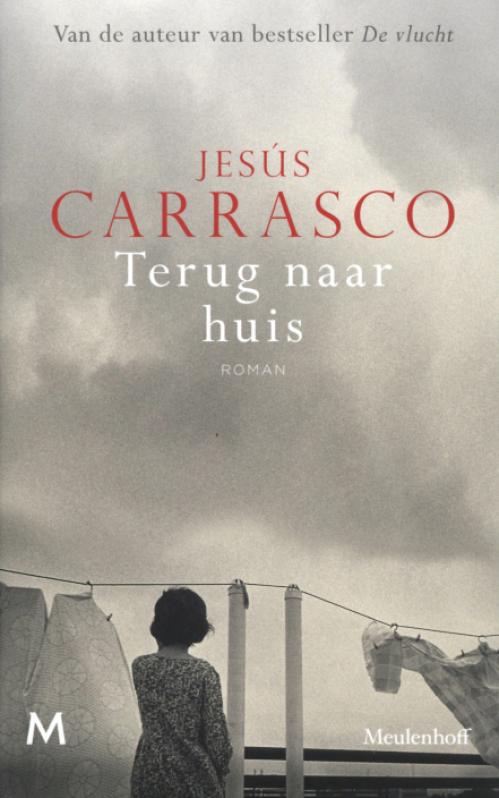Dit is de afbeelding van het boek Terug naar huis