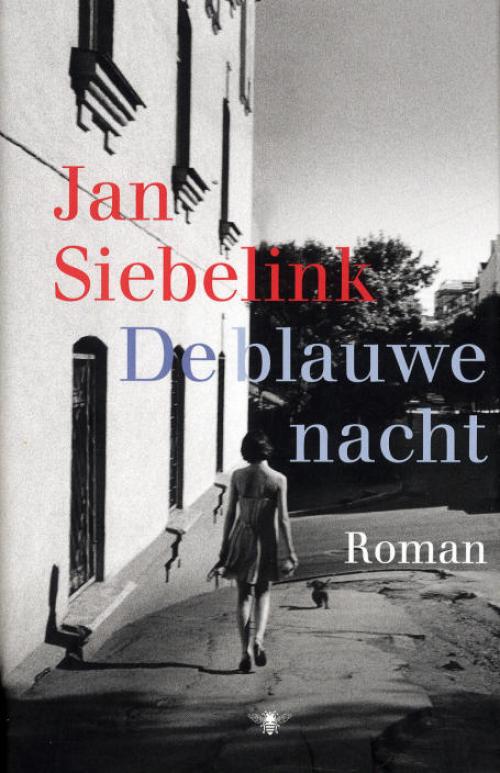 Dit is de afbeelding van het boek De blauwe nacht