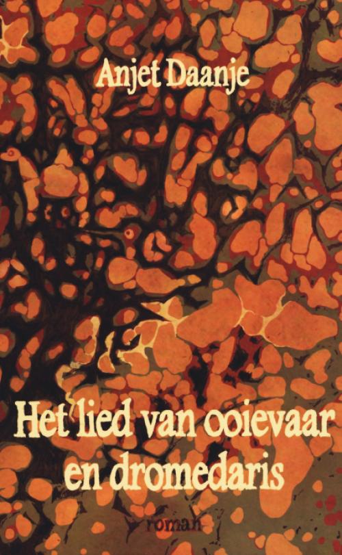 Dit is de afbeelding van het boek Het lied van ooievaar en dromedaris