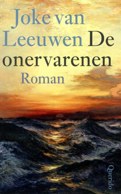 Dit is de afbeelding van het boek De onervarenen