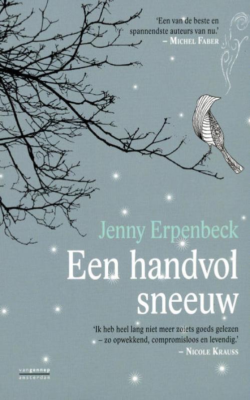 Dit is de afbeelding van het boek Een handvol sneeuw