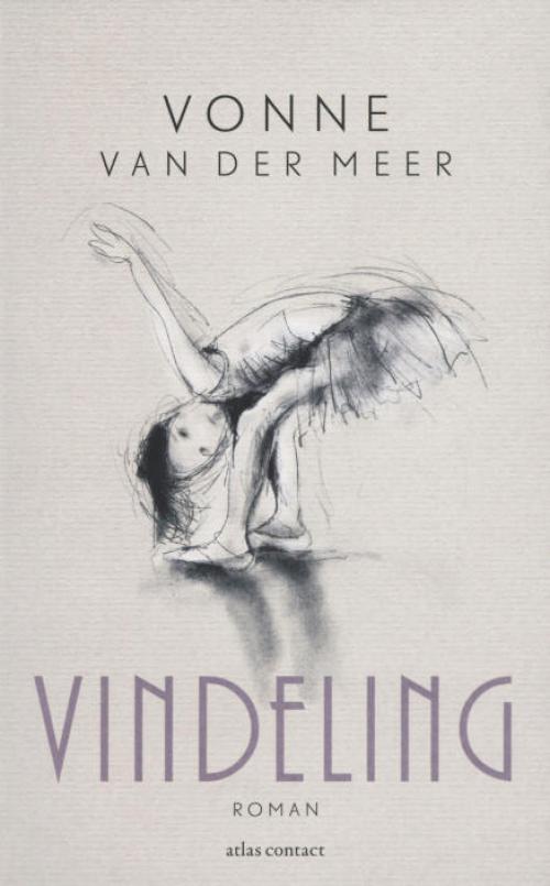 Dit is de afbeelding van het boek Vindeling