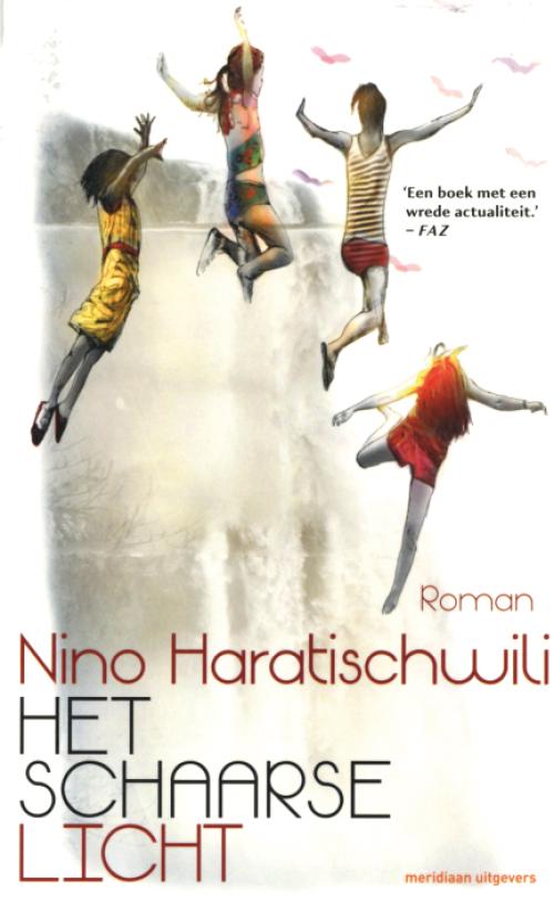 Dit is de afbeelding van het boek Het schaarse licht