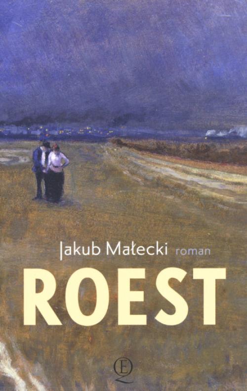 Dit is de afbeelding van het boek Roest