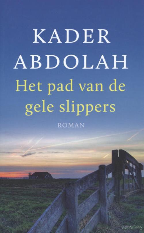 Dit is de afbeelding van het boek Het pad van de gele slippers