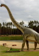 Dit is de afbeelding van het boek Dinosauriërs en oertijd Onderbouw
