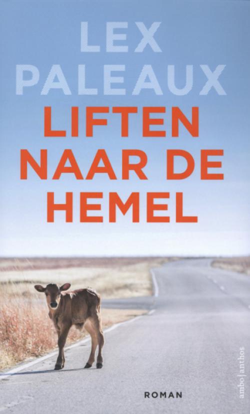 Dit is de afbeelding van het boek Liften naar de hemel