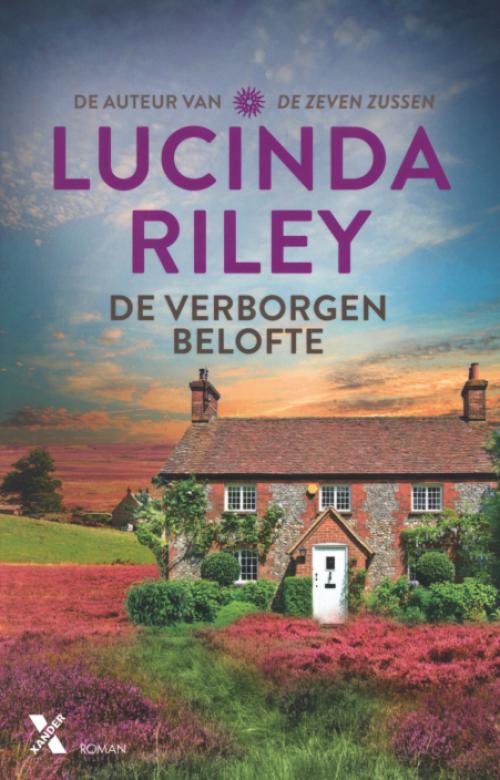 Dit is de afbeelding van het boek De verborgen belofte