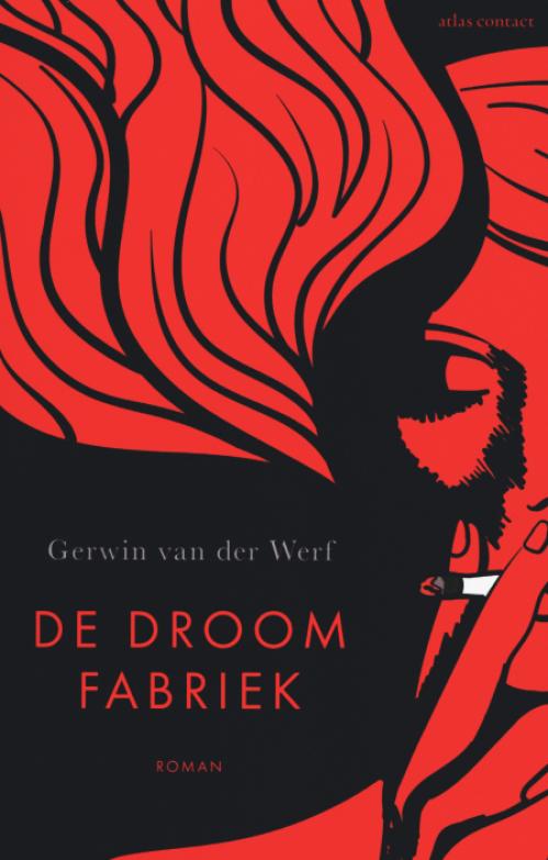 Dit is de afbeelding van het boek De droomfabriek