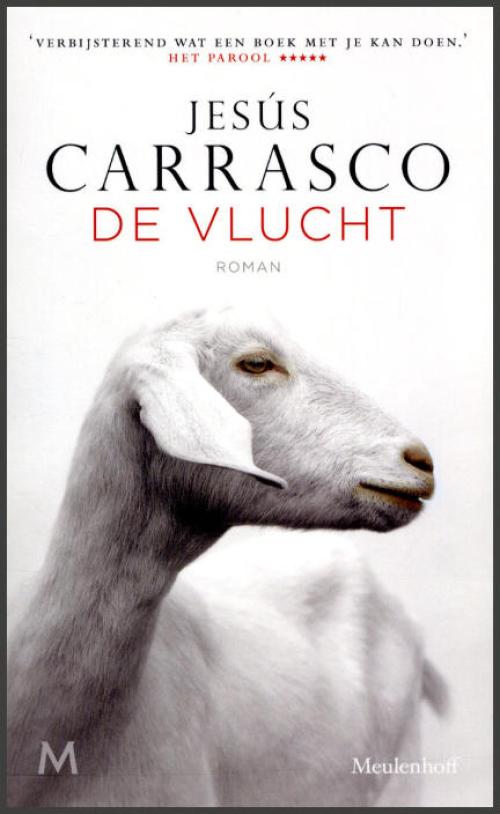 Dit is de afbeelding van het boek De vlucht