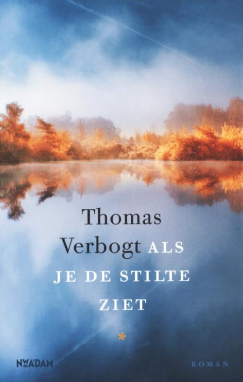 Dit is de afbeelding van het boek Als je de stilte ziet