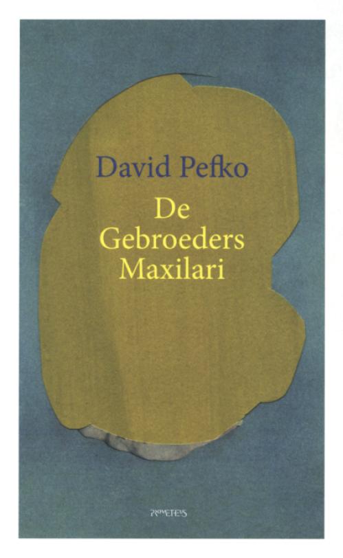 Dit is de afbeelding van het boek De gebroeders Maxilari