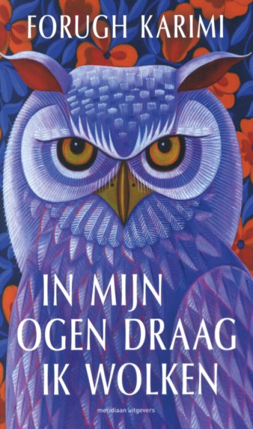 Dit is de afbeelding van het boek In mijn ogen draag ik wolken