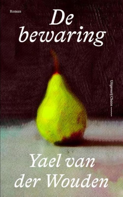 Dit is de afbeelding van het boek De bewaring